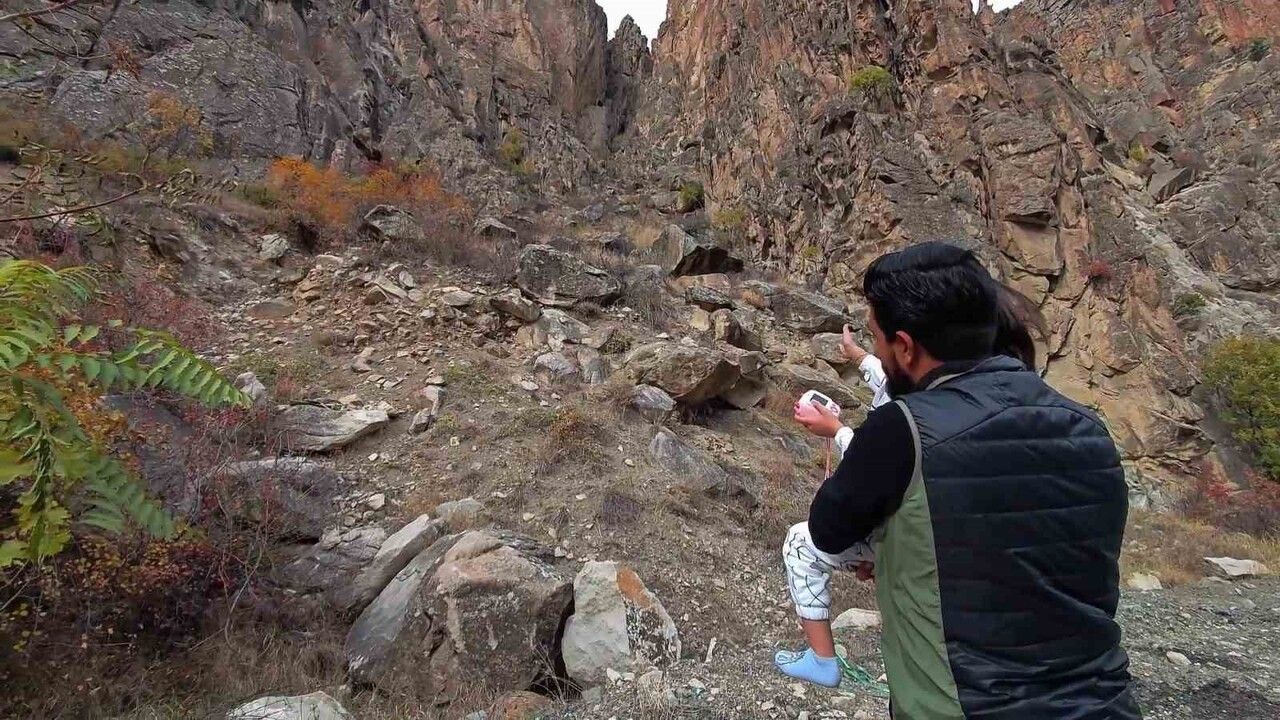 Erzurum'da Dağ Keçileri Tortum ve Uzundere'ye İndi