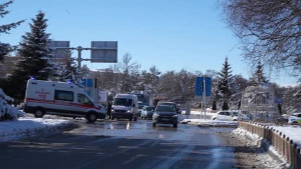 Erzurum'da Kamyon Refüjde Takla Attı, Ağacı Kökünden Söktü