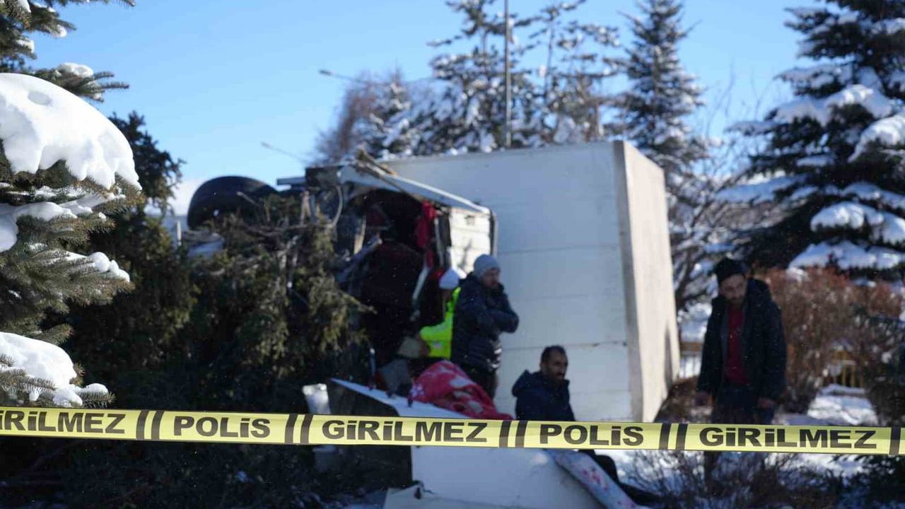 Erzurum'da Kamyon Refüje Çıkıp Devrildi — Ağaç Kökünden Söküldü