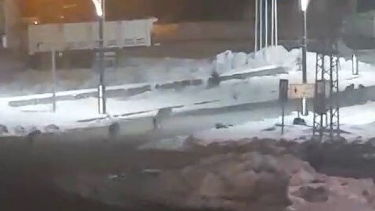Erzurum Karayazı'da Kurt Alarmı: Sürü Halinde Mahallelere İndi