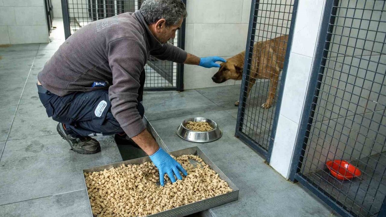 Esenyurt Belediyesi'nden Gıda İsrafını Önleyen Mama Üretimi