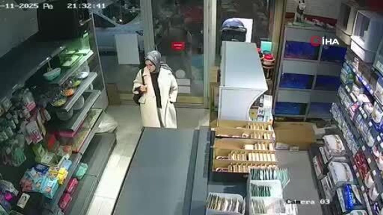 Esenyurt'ta Pet Shop'a Bırakılan Kedi İddiası