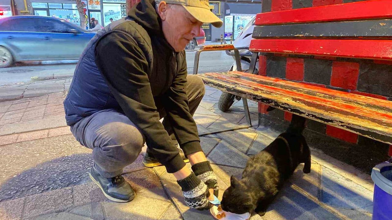 Eskişehir'de Hayvansever Taksi Durağı: Esnaf Sokak Hayvanlarına Sahip Çıkıyor