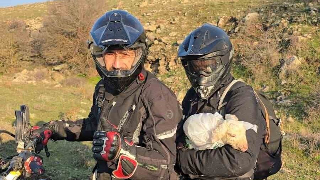 Eskişehir'de Sporcular Yeni Doğan Kuzuyu 3 Kilometre Uzakta Annesine Kavuşturdu