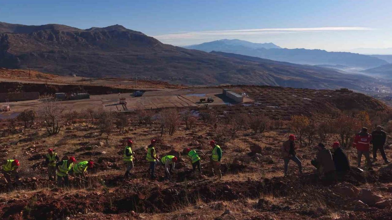 Gabar’da 100 Bin Fidan Hedefi: Bayraktar'tan 'Yeşil ve Enerjide Bağımsız Türkiye' Mesajı