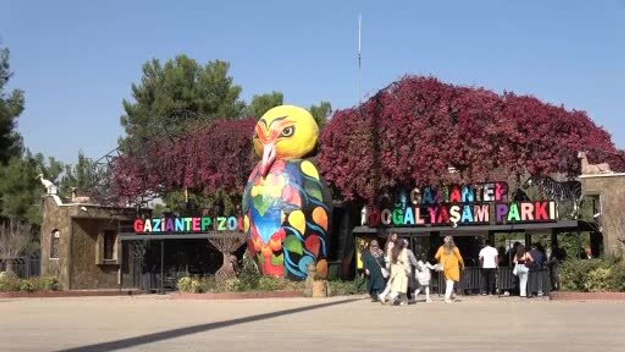 Gaziantep Doğal Yaşam Parkı'nın Maskotu Zürafa Şakir 32 Yaşında Öldü