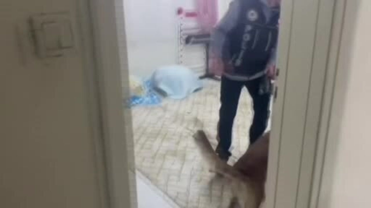 Gaziantep'te 22 kilo 219 gr skunk ve çok sayıda silah ele geçirildi — 7 gözaltı