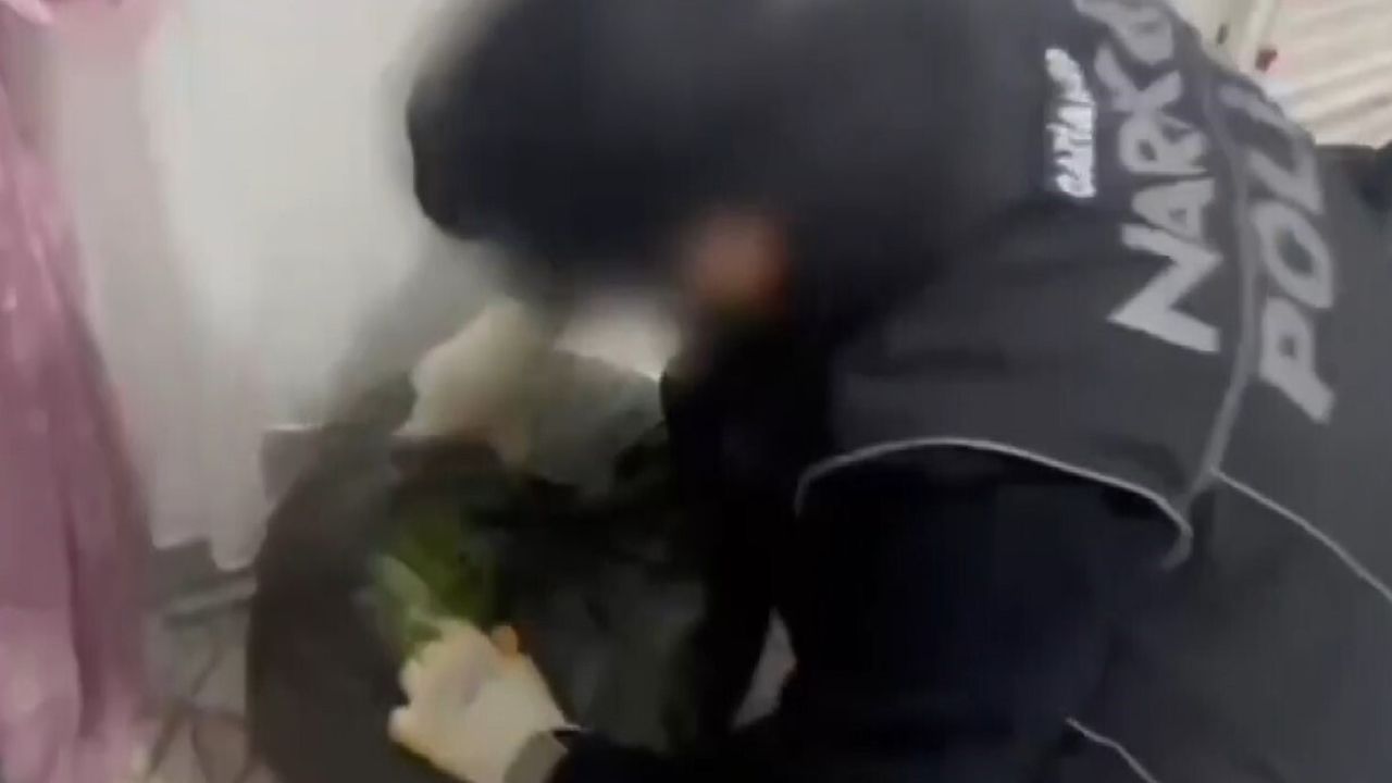 Gaziantep’te 22 kilo 219 gram skunk ve çok sayıda silah ele geçirildi — 7 gözaltı