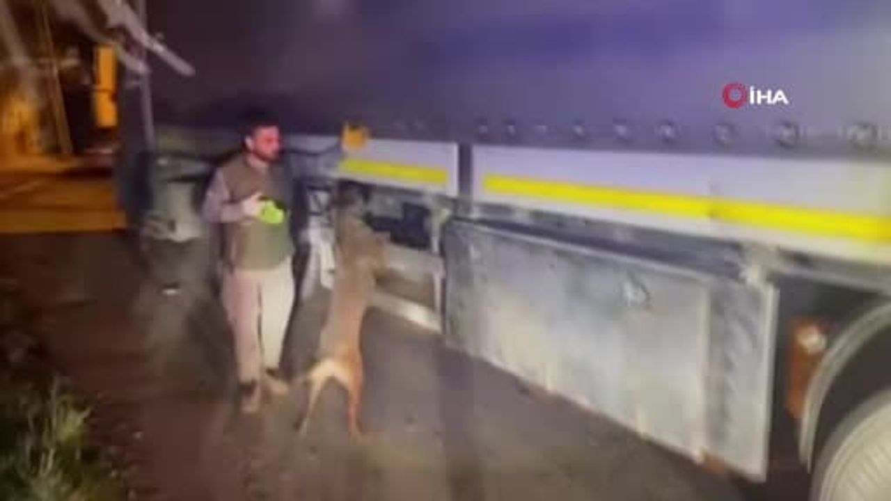 Gaziantep'te Uyuşturucu Operasyonu: 61 Kg Madde, 11 Tutuklama