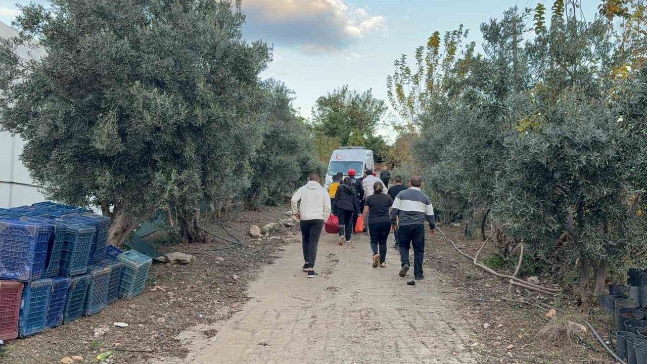 Gazipaşa'da 7 Metrelik Duvardan Düşen Çiftçi Yaralandı