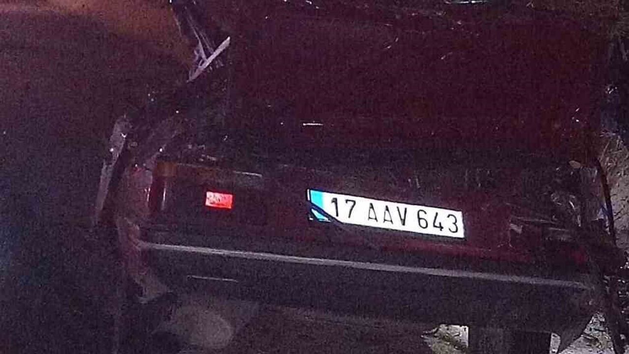 Gelibolu'da Ağaca Çarpma: Sürücü Alper Atıcı Hayatını Kaybetti