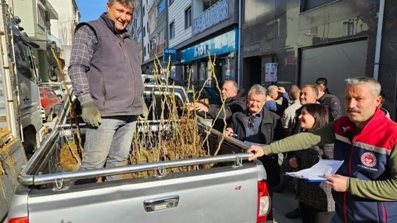 Germencik’te Üreticiye 4 Bin Sertifikalı Fidan: Yüzde 50 Hibe Desteği