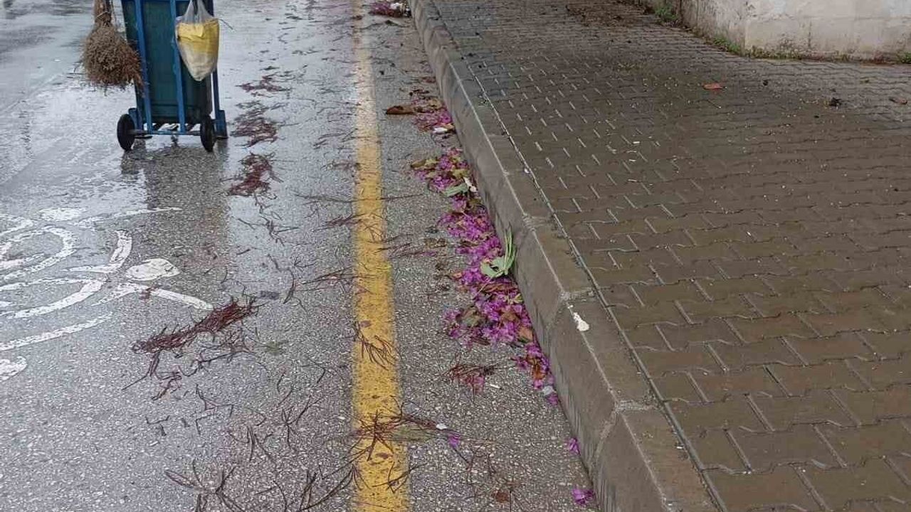 Germencik'te Yağış Sonrası Belediye Ekipleri Teyakkuzda