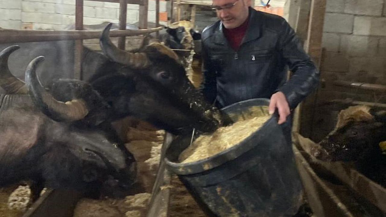 Giresun'da 286 Manda İşletmesine 12,3 Milyon TL Destek Ödemesi