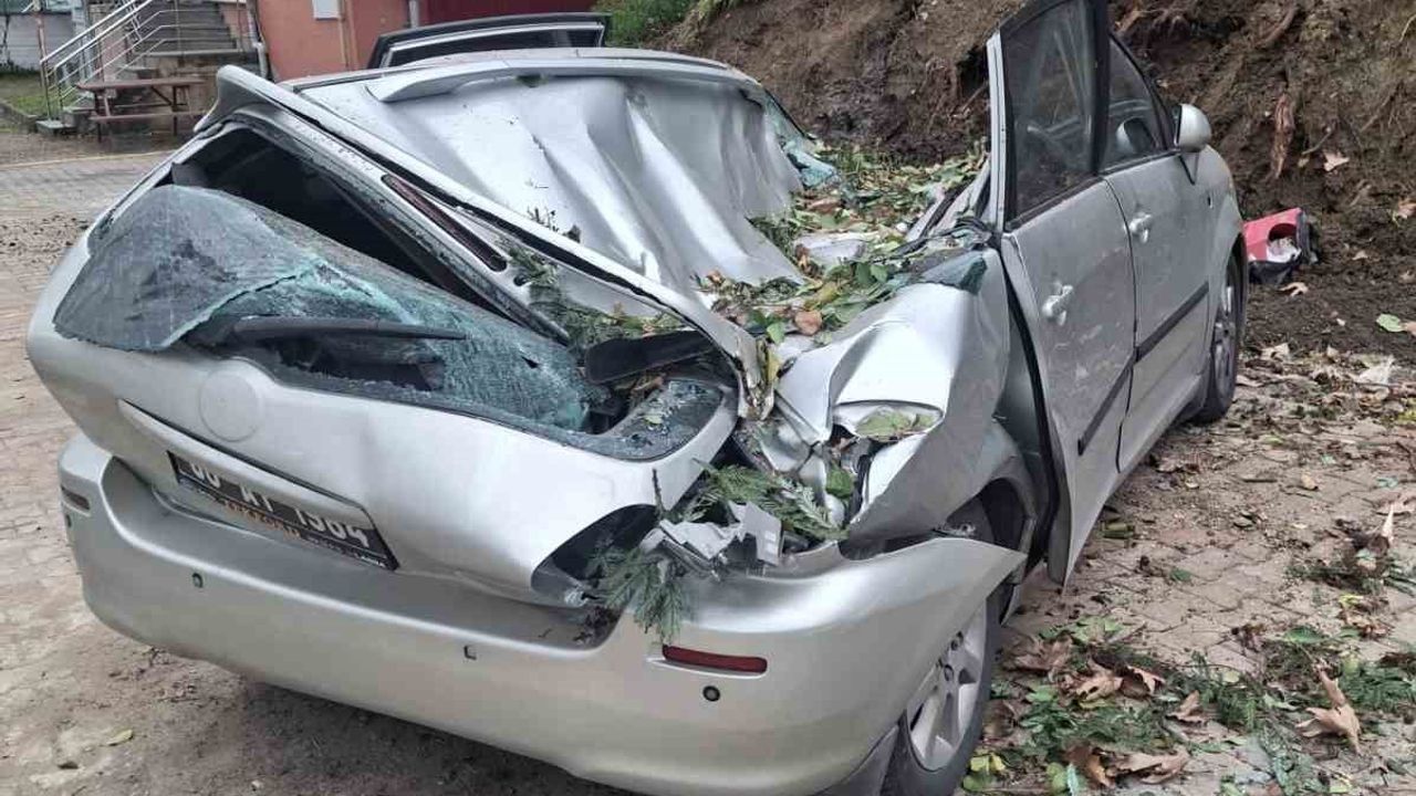 Giresun'da Fırtına Devrilen Ağaç Resmi Aracı Kullanılamaz Hale Getirdi