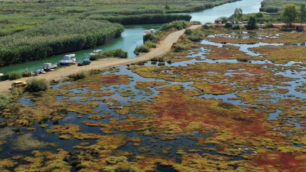 Gökçe Sulak Alanı Yeniden Canlanıyor: Gökova'da 6 Hektar Restorasyon