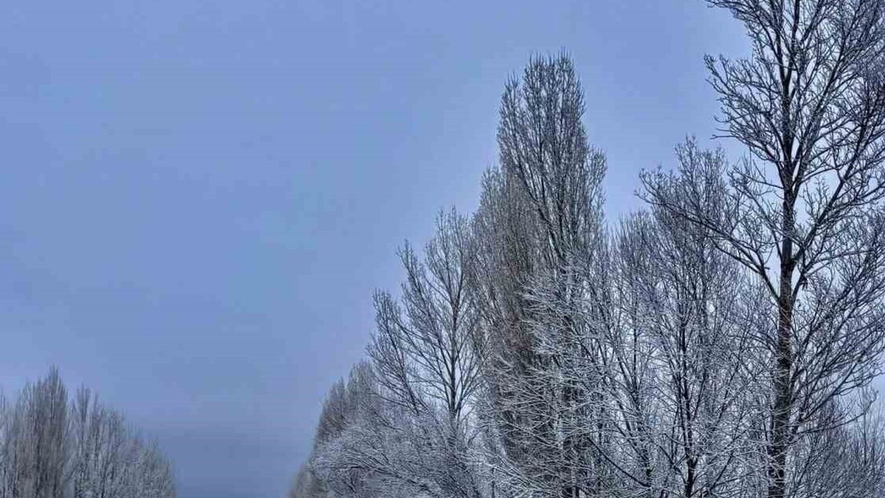 Gökçedere'de Kar Yağışı Ağaçları Beyaza Bürüdü