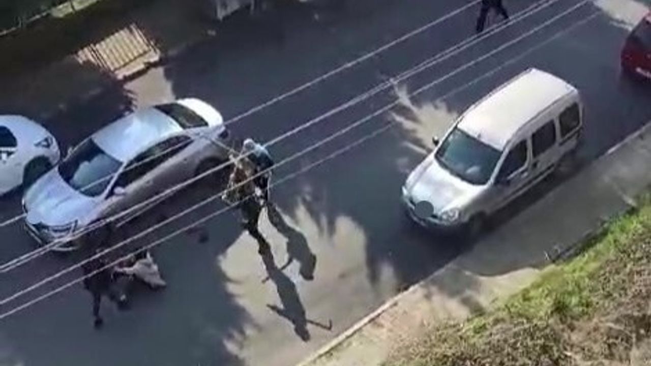 Gölcük'te 'Adam olsaydın' sözünün ardından eski eşi 15 yerinden bıçaklandı