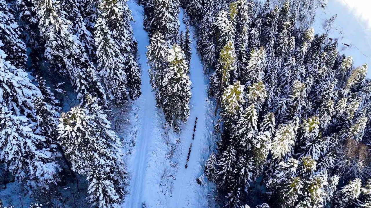 Gümüşhane'de 22 Doğasever Torul Zirvelerinde Karla Buluştu