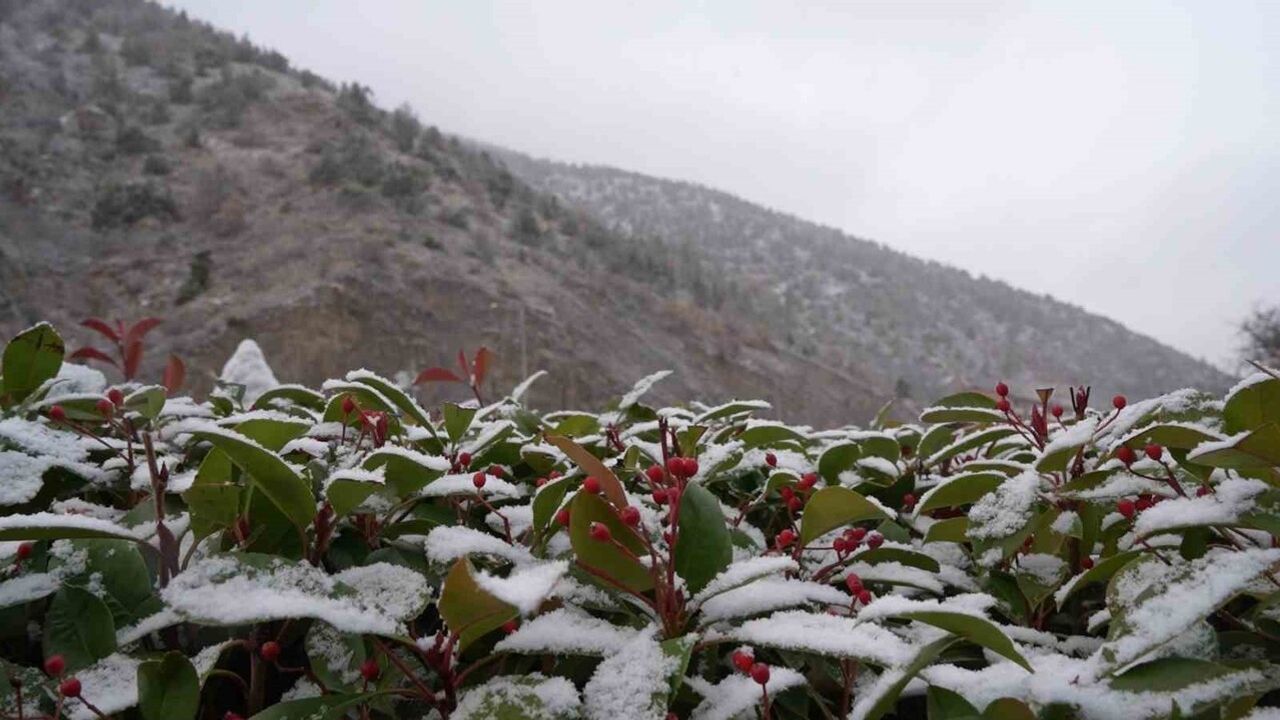 Gümüşhane'ye Mevsimin İlk Karı Düştü