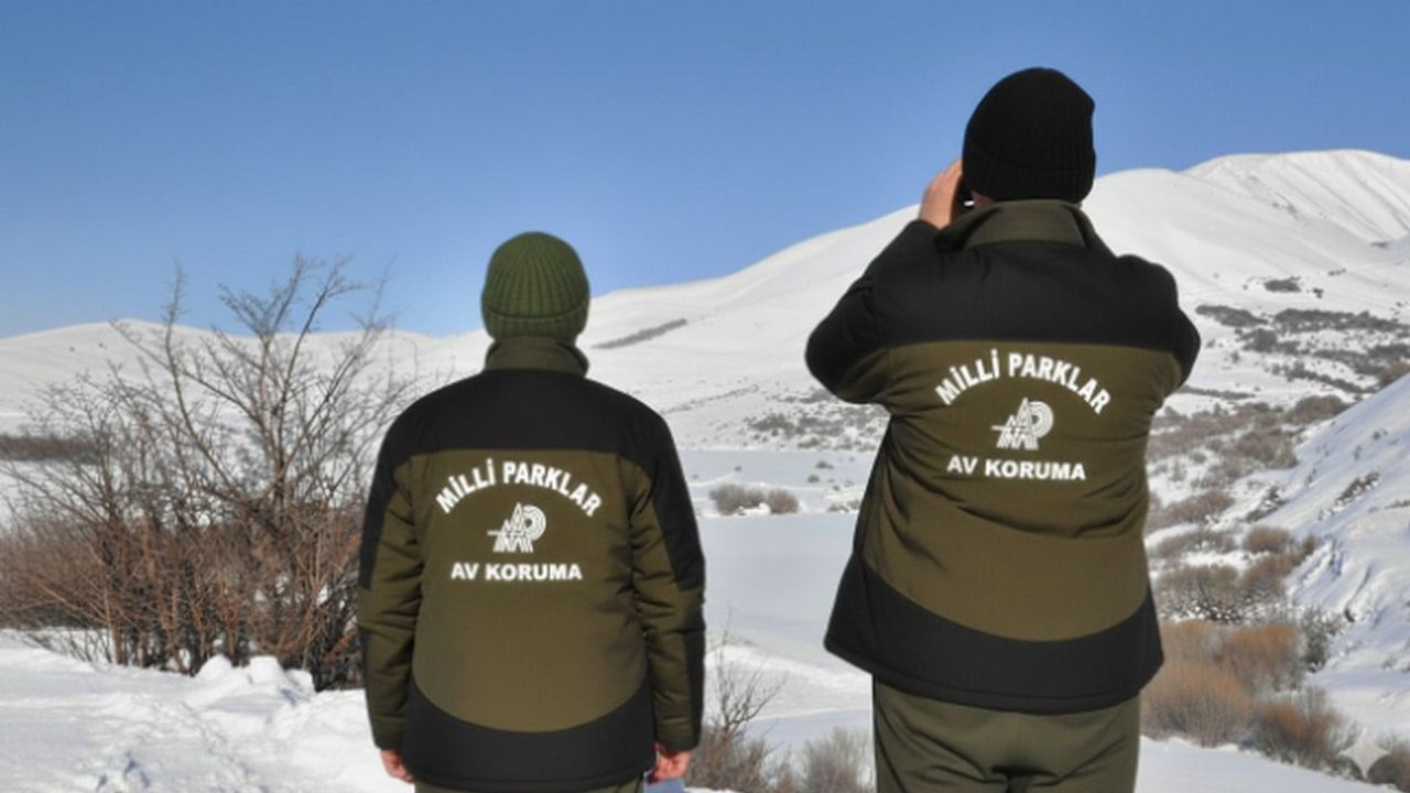 Hakkâri'de Yasa Dışı Avcılığa Ağır Ceza: 956 bin 619 TL