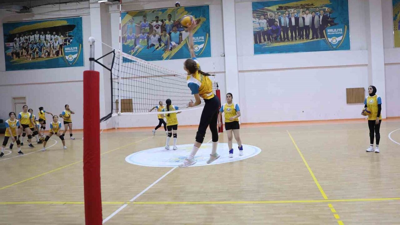 Haliliye'nin Spor Kursları Gençlere Kapı Açıyor