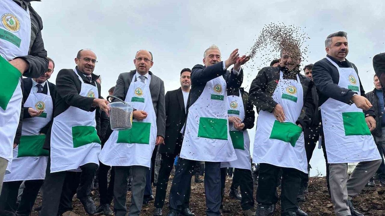 Harmancık'ta 4 bin 256 hektar yeniden ağaçlandırılıyor