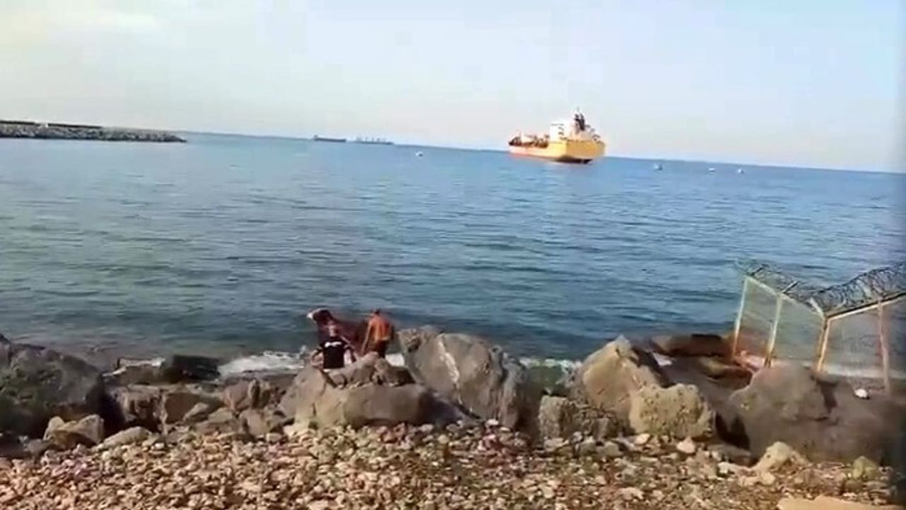 Hatay'da Gemiden Denize Düşen Angus, Yüzerek Karaya Ulaştı