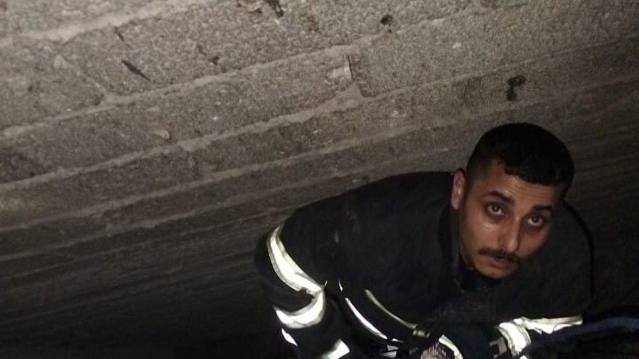 Hatay'da Havalandırma Boşluğuna Düşen Yavru Kedi İtfaiye Tarafından Kurtarıldı