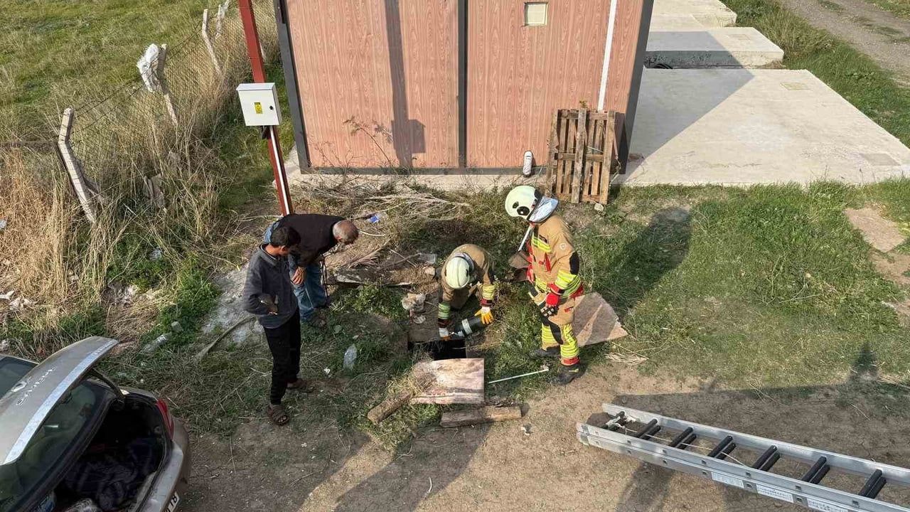 Hatay'da Kuyuya Düşen Koyun İtfaiye Ekipleriyle Kurtarıldı
