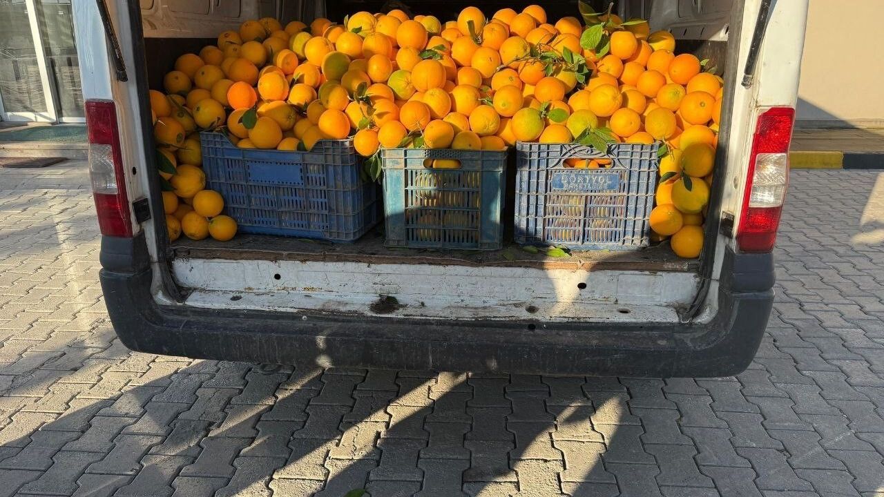 Hatay'da Portakal Hırsızları Suçüstü: 5 Gözaltı