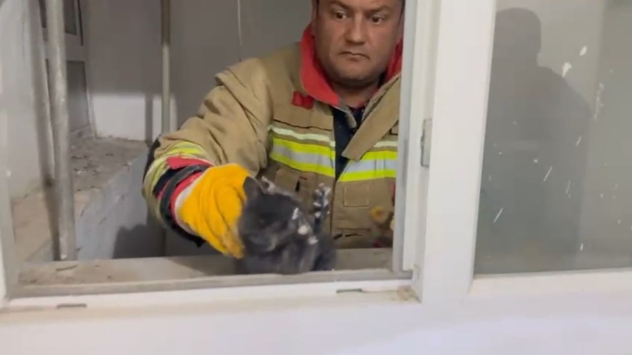 Hatay'da Yavru Kedi Havalandırma Boşluğundan İtfaiye ile Kurtarıldı