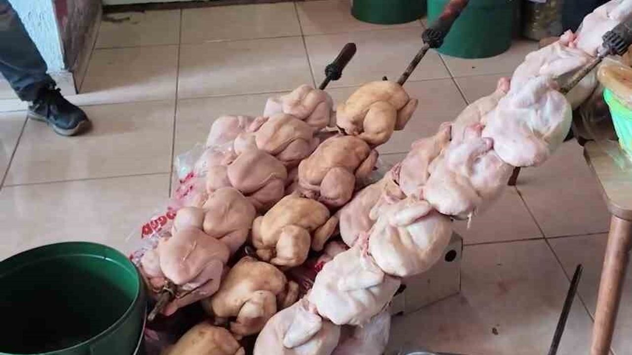 Hatay Kırıkhan'da 'Leş Kokusu' İhbarı: Dönerci Mühürlendi, Ürünler İmha Edildi