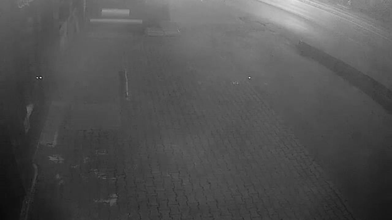 Hendek D-100'de Trafik Kazası: 29 Yaşındaki Sezgin Alaylı Hayatını Kaybetti