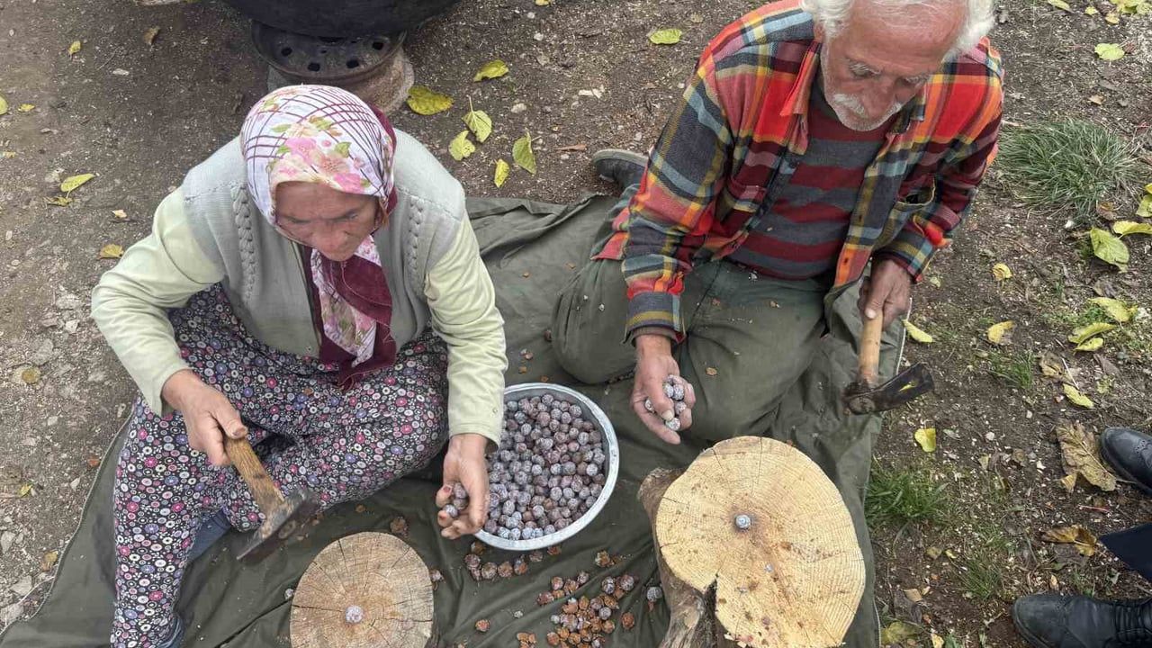 İbradı'da Andız Kozalakları Şifa Pekmezine Dönüşüyor: Kilosu 500 TL