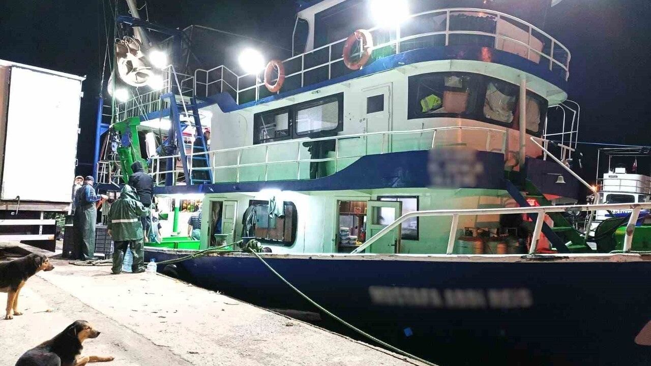 İğneada'da Hamsi Denetimi: Kota ve Taşıma Şartları İncelendi