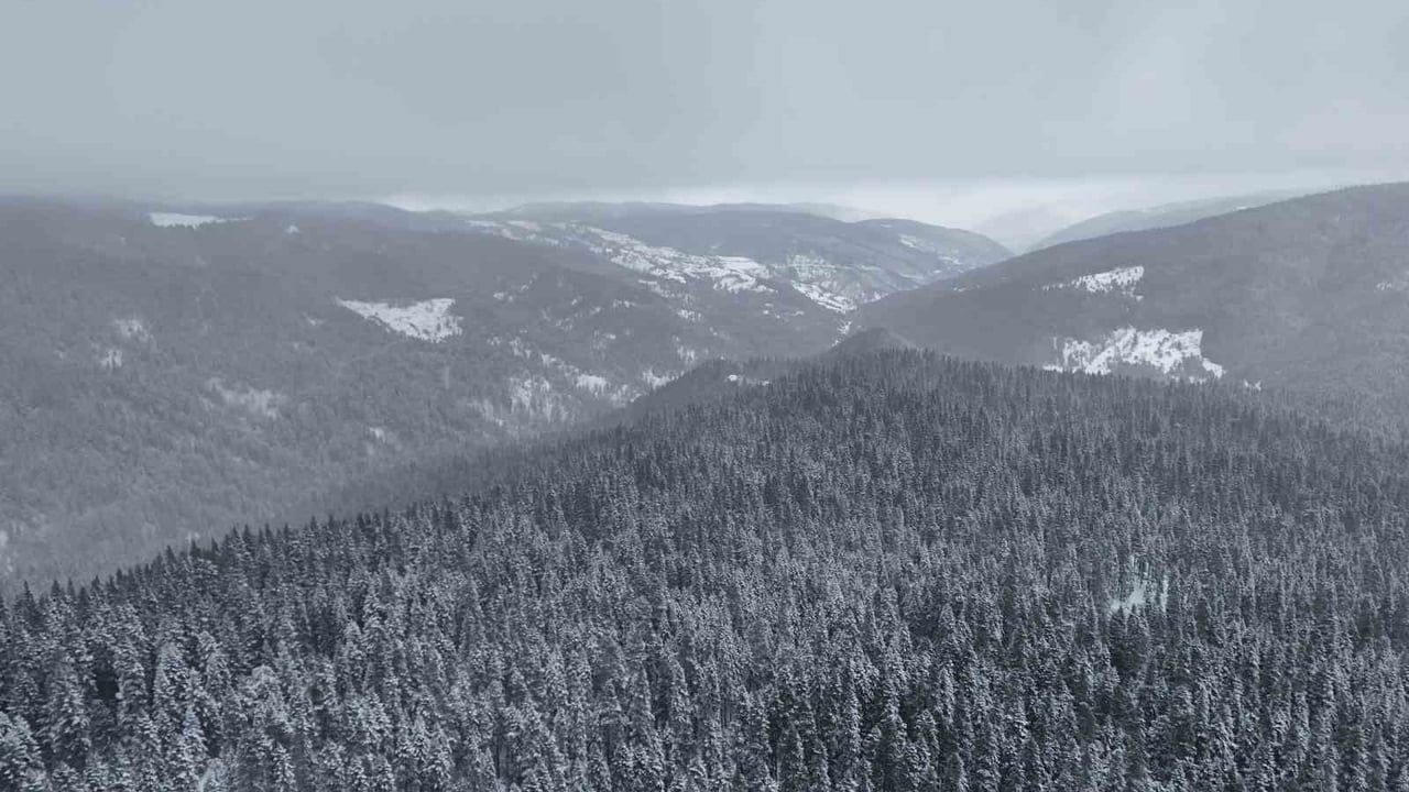 Ilgaz Dağı Beyaza Büründü: Kartpostallık Kar Manzarası Havadan Görüntülendi