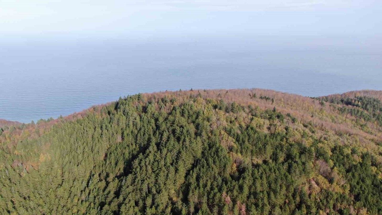 İnebolu’da Köylülerin Yaptığı 'Mavi Teras' 550 Rakımda Büyülüyor