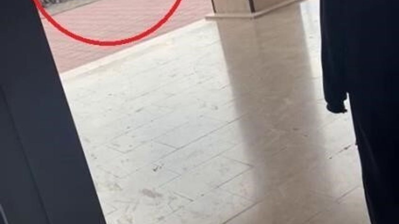 İnegöl'de okul müdürü öğrenciyi darp etti: Tutuksuz yargılama