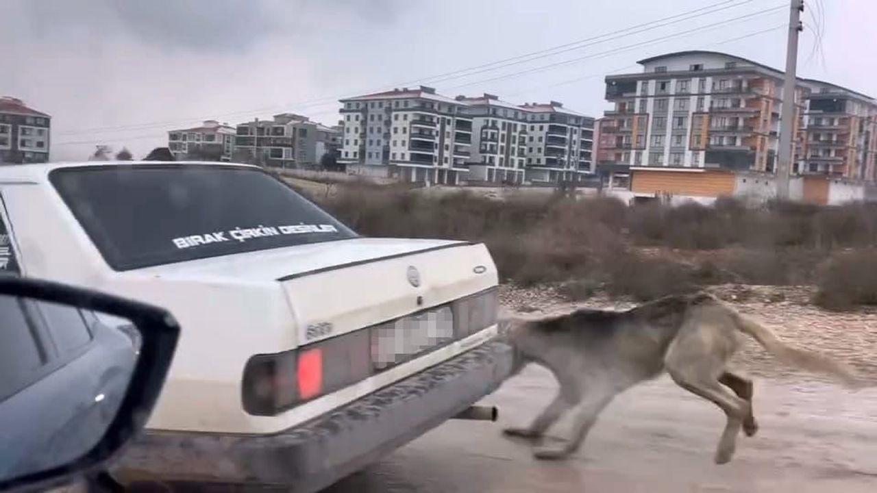 İnegöl'de Tepki Çeken Görüntü: Köpeği Aracın Arkasına Bağlayıp Yol Boyunca İlerledi