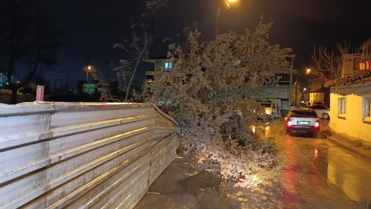 İnegöl'de Yağış ve Rüzgar Ağaç Devrilmesine Neden Oldu