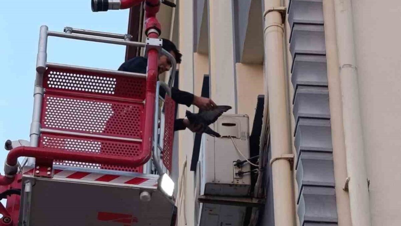 İskenderun'da itfaiye, klima motoruna dolanan kuşu kurtardı