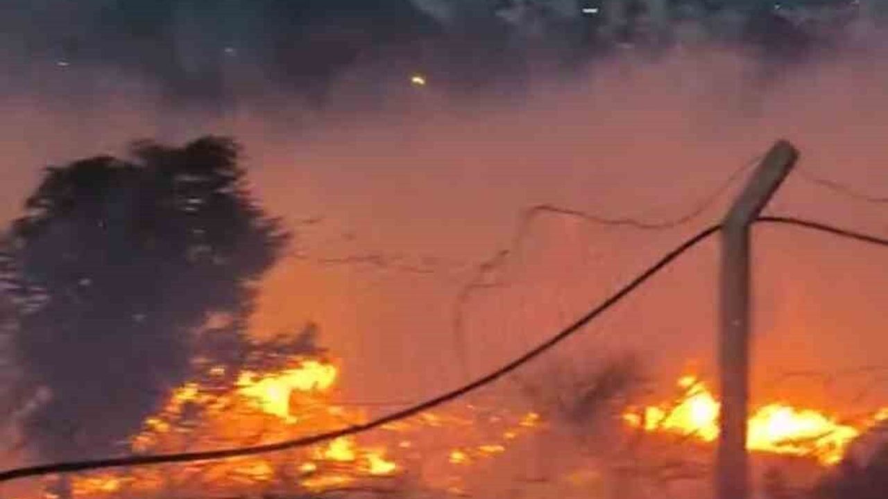 İskenderun'da Otluk Yangını Hızlı Müdahale ile Söndürüldü