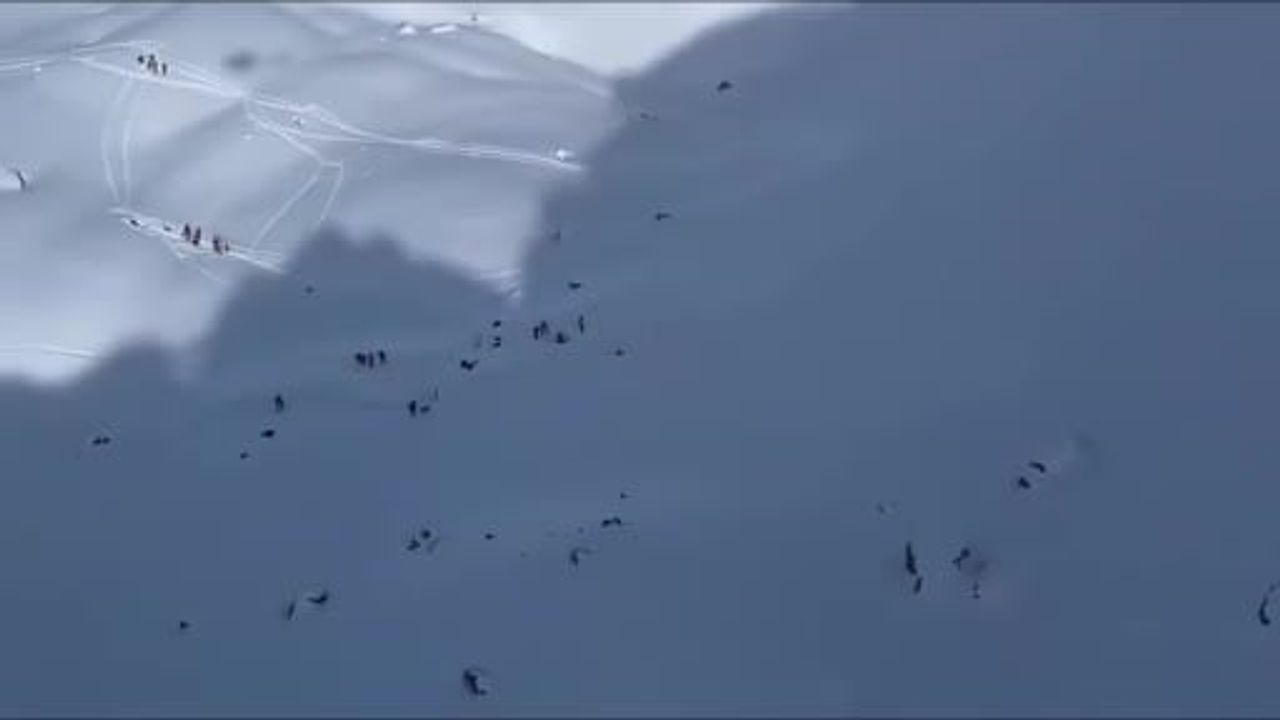 İspanya Panticosa'da çığ faciası: 3 ölü