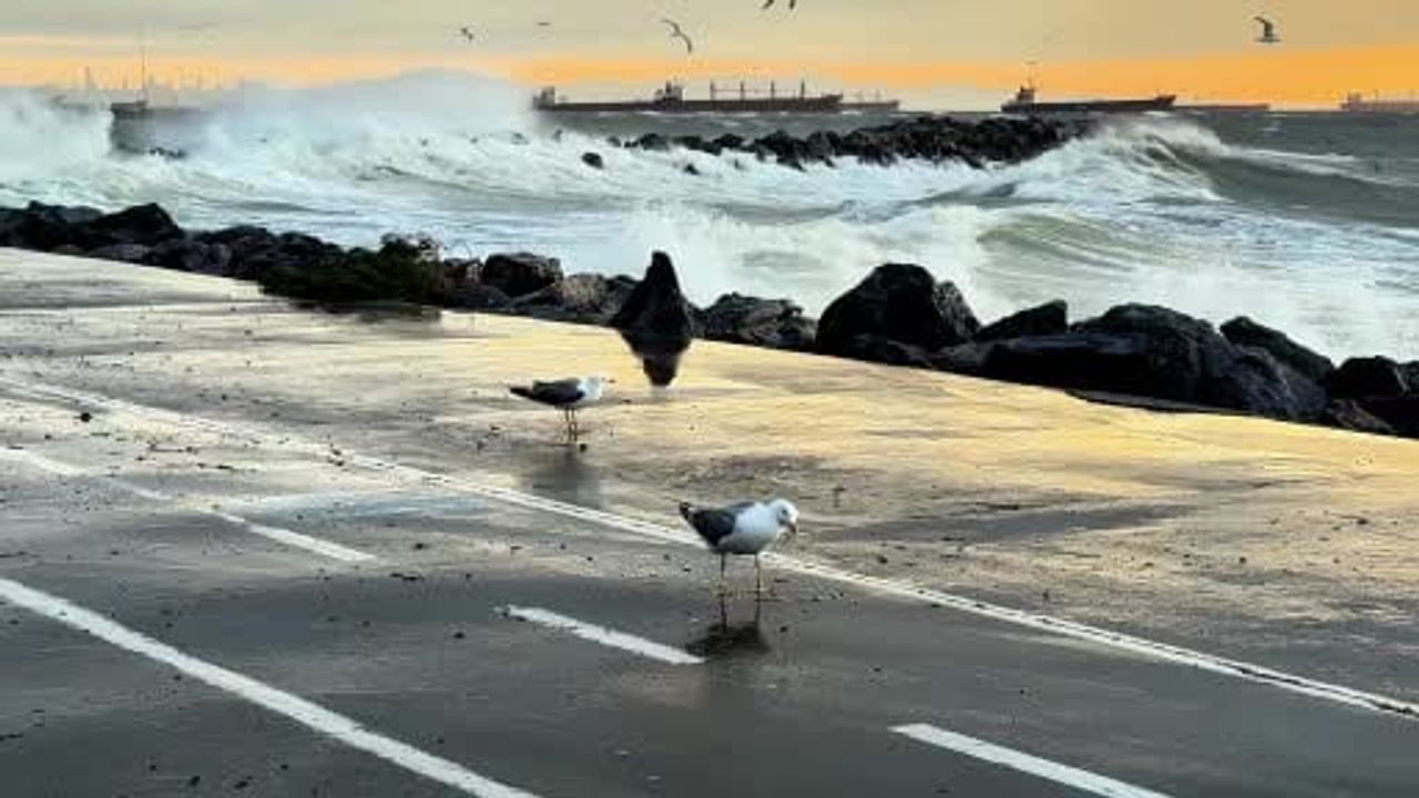 İstanbul'da Fırtına: Şehir Hatları ve İDO Vapur Seferlerini İptal Etti