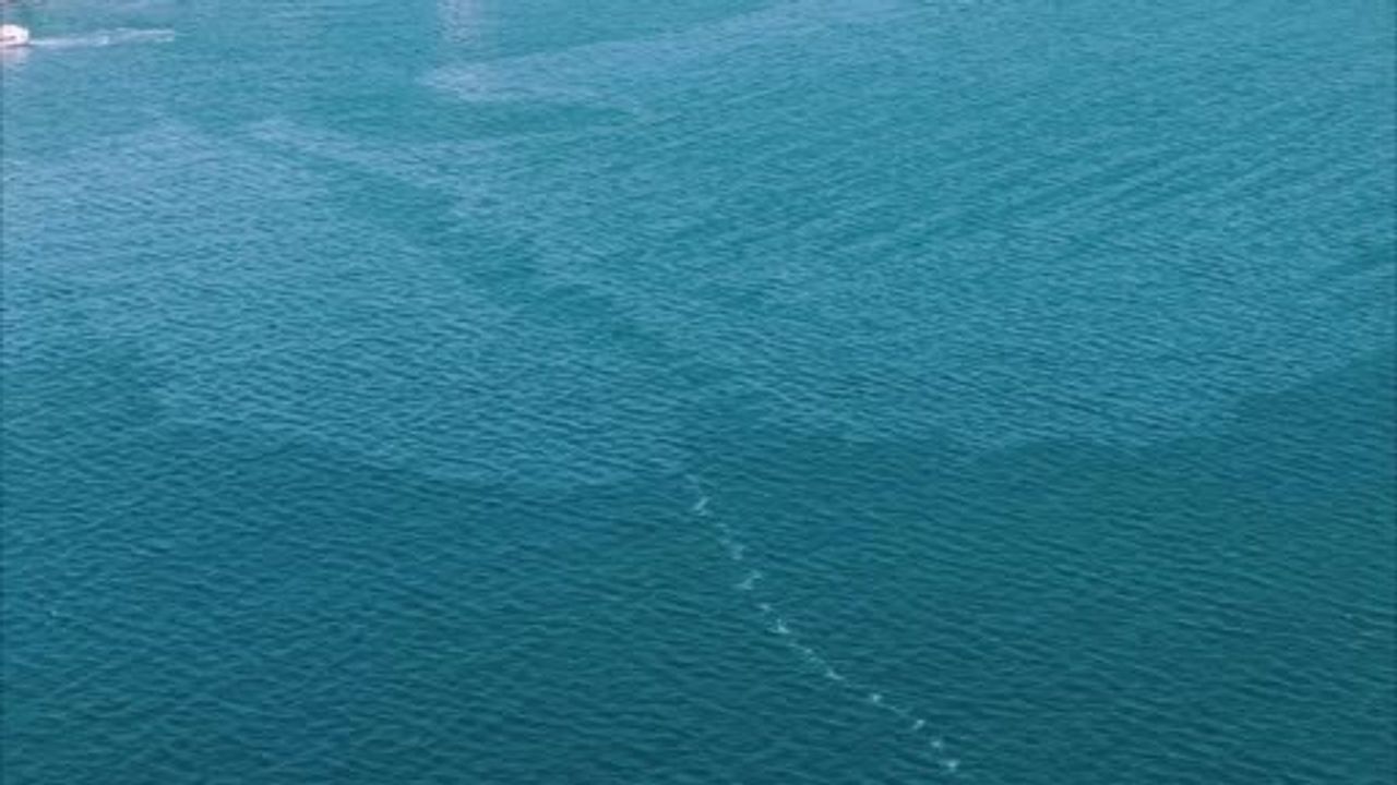 İzmir Körfezi'nde Kirlilik: Cemil Tugay'dan Denetim ve Yaptırım Çağrısı