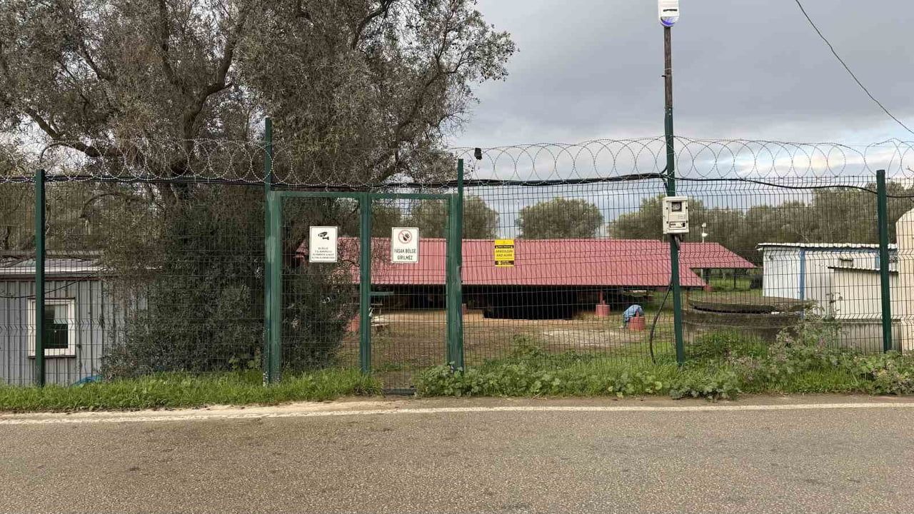 İznik'te 'Çoban İsa' Freski: Hisardere Nekropolü 7/24 Korunuyor