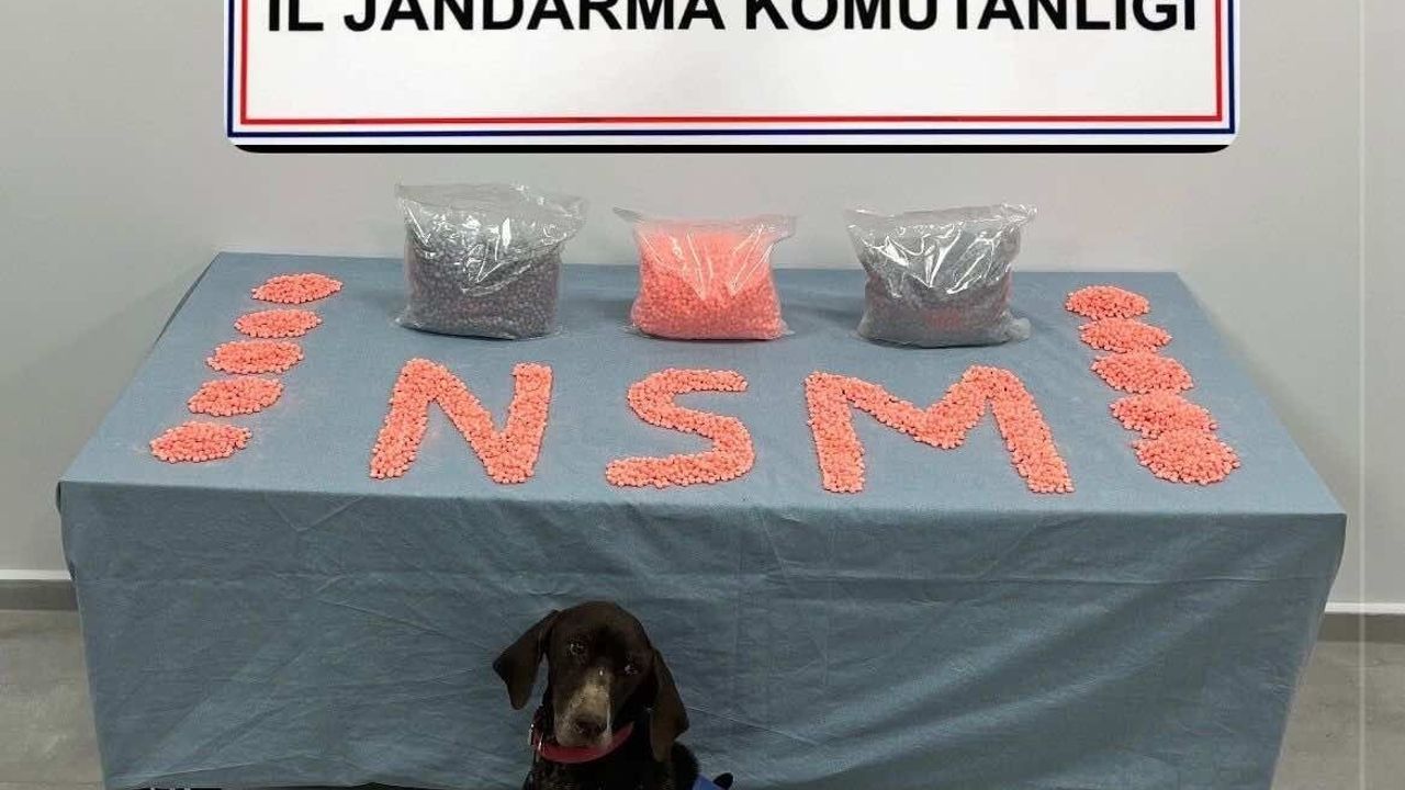 Jandarma KOM'un Operasyonu: 28 Bin Extacy Hap Ele Geçirildi, Şüpheli Tutuklandı