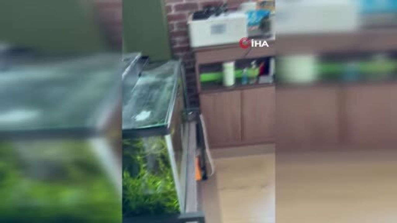 Japonya'da 6.7 Büyüklüğünde Deprem ve Tsunami Uyarısı