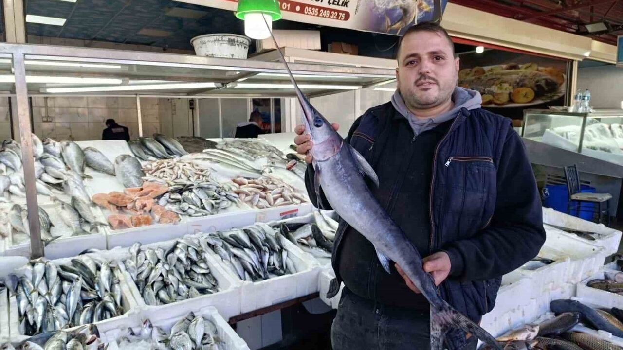 Kahramanmaraş'ta Balık Talebi Artıyor: Hamsi Günde Yaklaşık 3 Ton